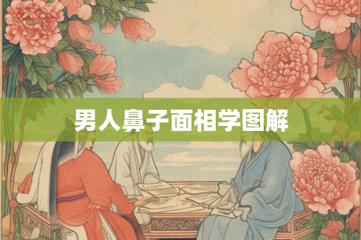 男人鼻子面相学图解