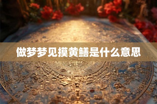 做梦梦见摸黄鳝是什么意思