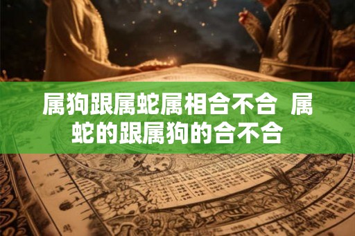 属狗跟属蛇属相合不合  属蛇的跟属狗的合不合