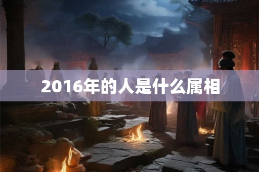 2016年的人是什么属相