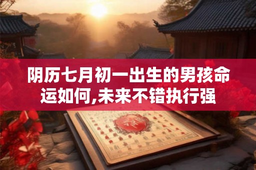 阴历七月初一出生的男孩命运如何,未来不错执行强