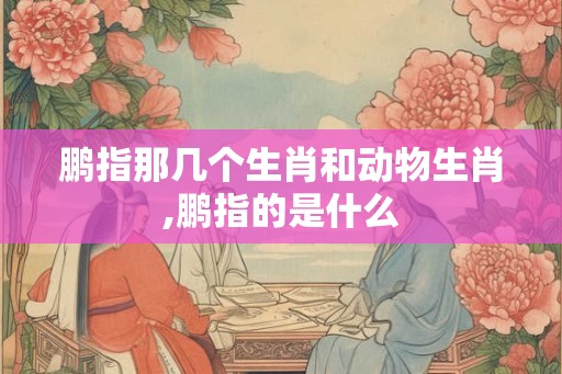 鹏指那几个生肖和动物生肖,鹏指的是什么 鹏指那几个生肖和动物生肖,鹏指的是什么