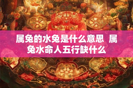 属兔的水兔是什么意思  属兔水命人五行缺什么