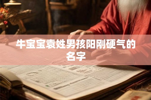 牛宝宝袁姓男孩阳刚硬气的名字