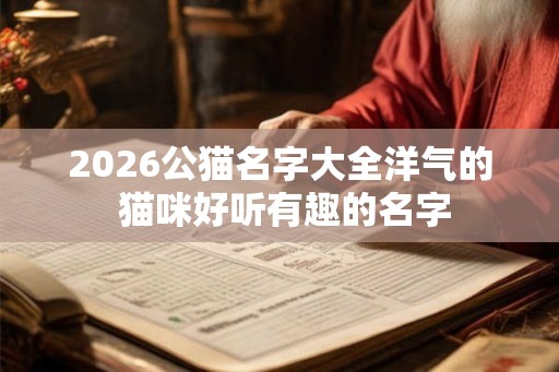 2026公猫名字大全洋气的 猫咪好听有趣的名字
