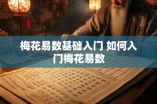 梅花易数基础入门 如何入门梅花易数