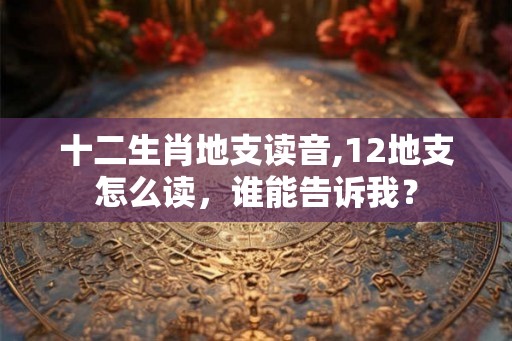 十二生肖地支读音,12地支怎么读，谁能告诉我？
