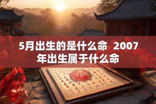 5月出生的是什么命  2007年出生属于什么命