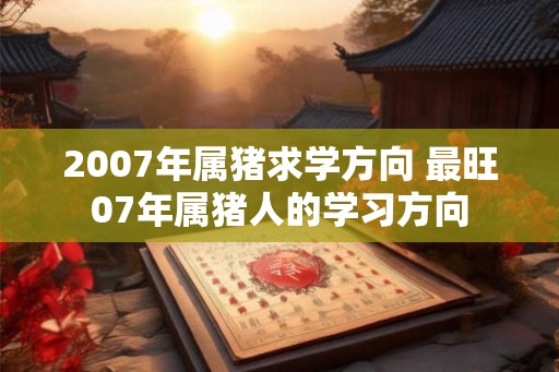 2007年属猪求学方向 最旺07年属猪人的学习方向