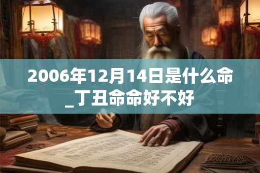 2006年12月14日是什么命_丁丑命命好不好