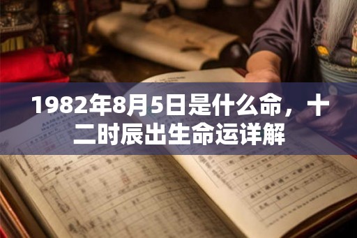 1982年8月5日是什么命，十二时辰出生命运详解