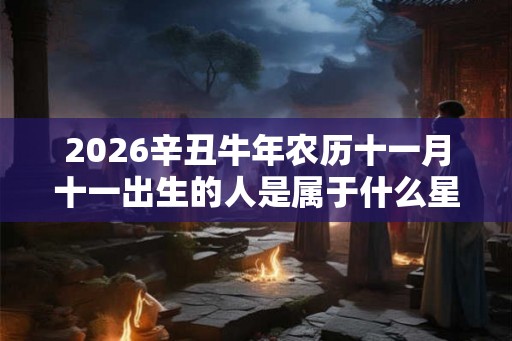 2026辛丑牛年农历十一月十一出生的人是属于什么星座？命运如何