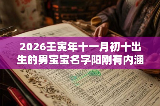 2026壬寅年十一月初十出生的男宝宝名字阳刚有内涵