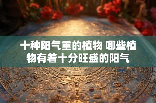 十种阳气重的植物 哪些植物有着十分旺盛的阳气