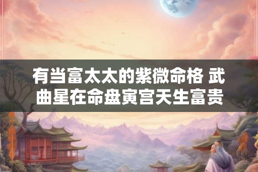有当富太太的紫微命格 武曲星在命盘寅宫天生富贵