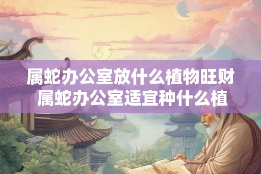 属蛇办公室放什么植物旺财 属蛇办公室适宜种什么植物招财