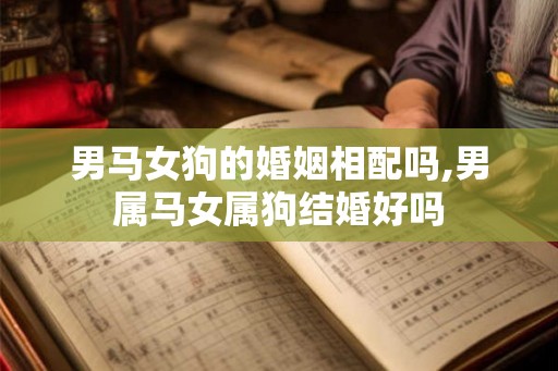 男马女狗的婚姻相配吗,男属马女属狗结婚好吗
