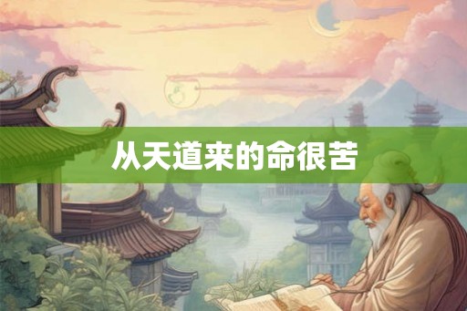 从天道来的命很苦