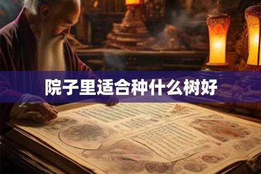 院子里适合种什么树好