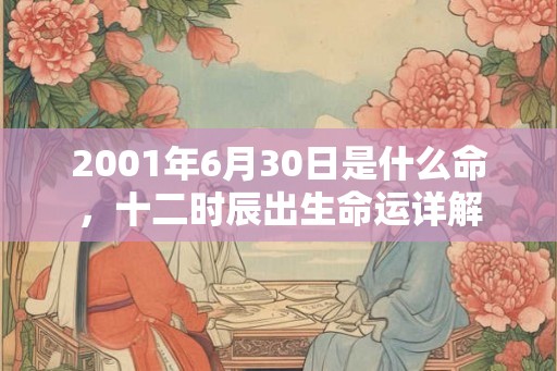 2001年6月30日是什么命,十二时辰出生命运详解 2001年6月30日是什么命,十二时辰出生命运详解