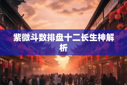 紫微斗数排盘十二长生神解析