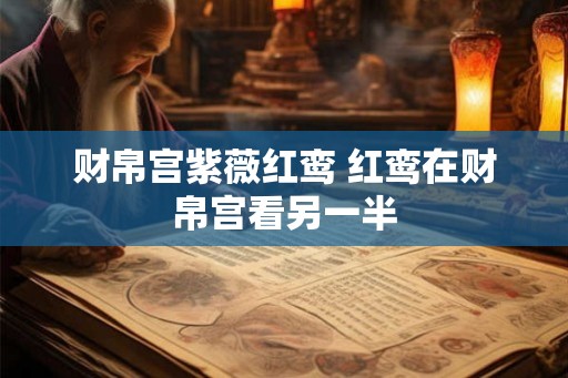 财帛宫紫薇红鸾 红鸾在财帛宫看另一半