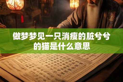 做梦梦见一只消瘦的脏兮兮的猫是什么意思