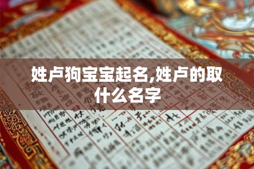 姓卢狗宝宝起名,姓卢的取什么名字