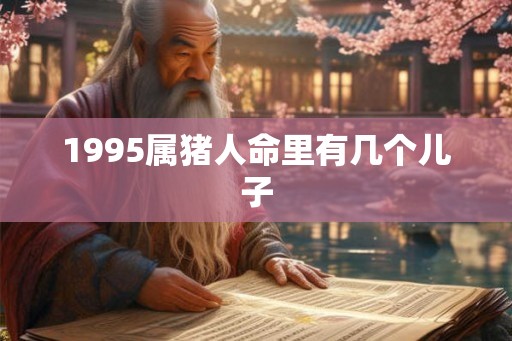 1995属猪人命里有几个儿子