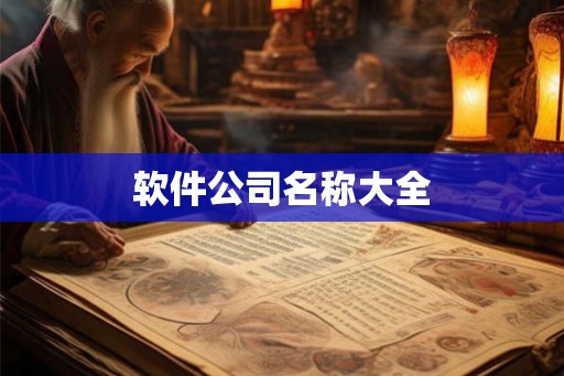 软件公司名称大全