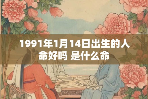 1991年1月14日出生的人命好吗 是什么命