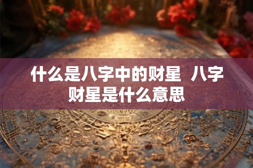 什么是八字中的财星  八字财星是什么意思