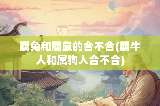 属兔和属鼠的合不合(属牛人和属狗人合不合)
