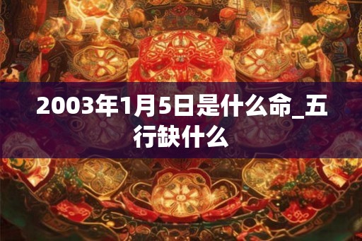 2003年1月5日是什么命_五行缺什么 2003年1月5日是什么命_五行缺什么