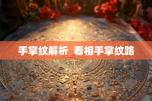 手掌纹解析  看相手掌纹路