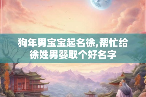狗年男宝宝起名徐,帮忙给徐姓男婴取个好名字