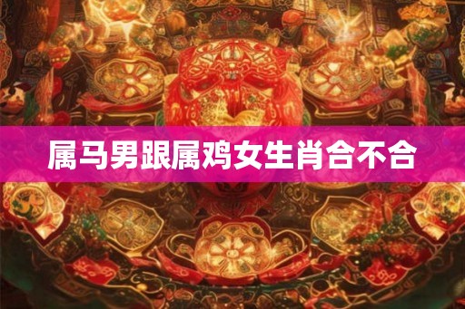 属马男跟属鸡女生肖合不合