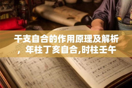 干支自合的作用原理及解析，年柱丁亥自合,时柱壬午自合