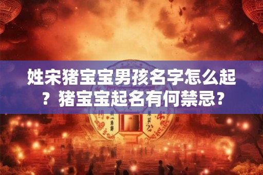 姓宋猪宝宝男孩名字怎么起？猪宝宝起名有何禁忌？