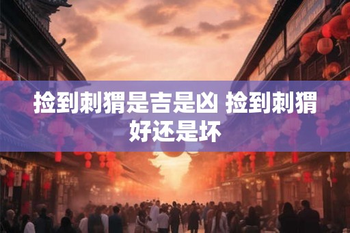 捡到刺猬是吉是凶 捡到刺猬好还是坏
