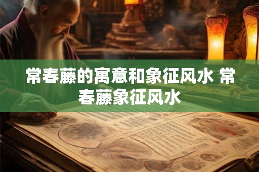 常春藤的寓意和象征风水 常春藤象征风水