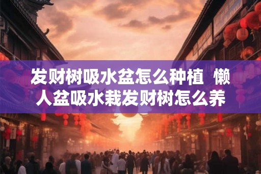 发财树吸水盆怎么种植  懒人盆吸水栽发财树怎么养
