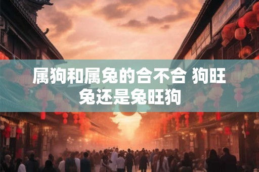 属狗和属兔的合不合 狗旺兔还是兔旺狗