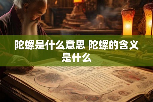陀螺是什么意思 陀螺的含义是什么