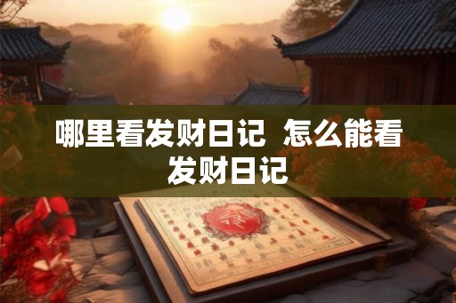 哪里看发财日记  怎么能看发财日记