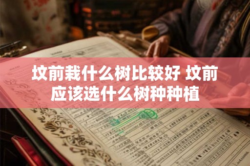 坟前栽什么树比较好 坟前应该选什么树种种植