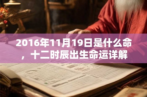2016年11月19日是什么命，十二时辰出生命运详解