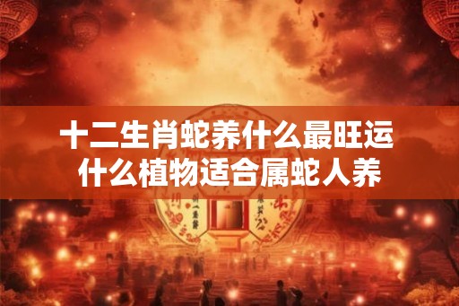 十二生肖蛇养什么最旺运 什么植物适合属蛇人养