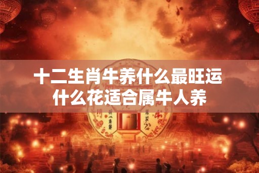 十二生肖牛养什么最旺运 什么花适合属牛人养