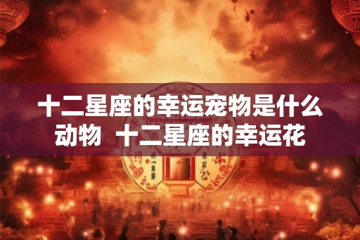 十二星座的幸运宠物是什么动物  十二星座的幸运花